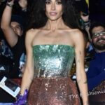 Sarah Shahi Instagram - Mexico Pinch me. So much gratitude. Best reception and the Guac is unmatched!! When you step into your dreams… @blackadammovie. @oscardelarenta @dolcegabbana