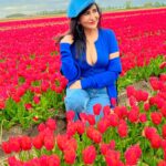 Saru Maini Instagram – Bucket list ✅ On my B’day😬💃 Tulip🌷Fields 💛❤️💛 #birthday #tulips #amsterdam #bestbirthday #fun #vacation #europetravel #netherlands #holland