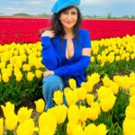 Saru Maini Instagram - Bucket list ✅ On my B’day😬💃 Tulip🌷Fields 💛❤️💛 #birthday #tulips #amsterdam #bestbirthday #fun #vacation #europetravel #netherlands #holland
