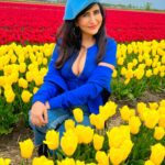 Saru Maini Instagram - Bucket list ✅ On my B’day😬💃 Tulip🌷Fields 💛❤️💛 #birthday #tulips #amsterdam #bestbirthday #fun #vacation #europetravel #netherlands #holland