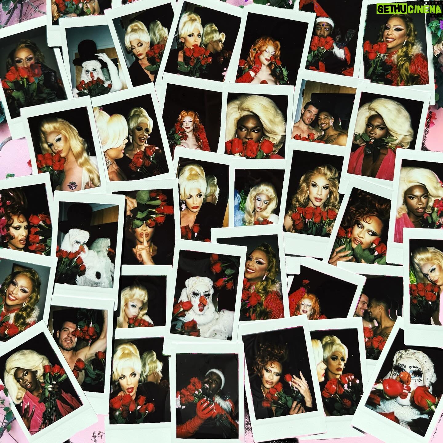 Sasha Colby Instagram - Roses Are Red, Violets Are Blue Drag Queens are Sexy, How About you?! Backstage Rose Ceremony at @mppresent A Drag Queen Christmas! Photos by @jimbothedragclown #roses #diamonddivadolls #sweet #takeawhiff #roseycheeks #beauty #models #chrissymissys #sissychristmas #drag #queens #tour #tourlife