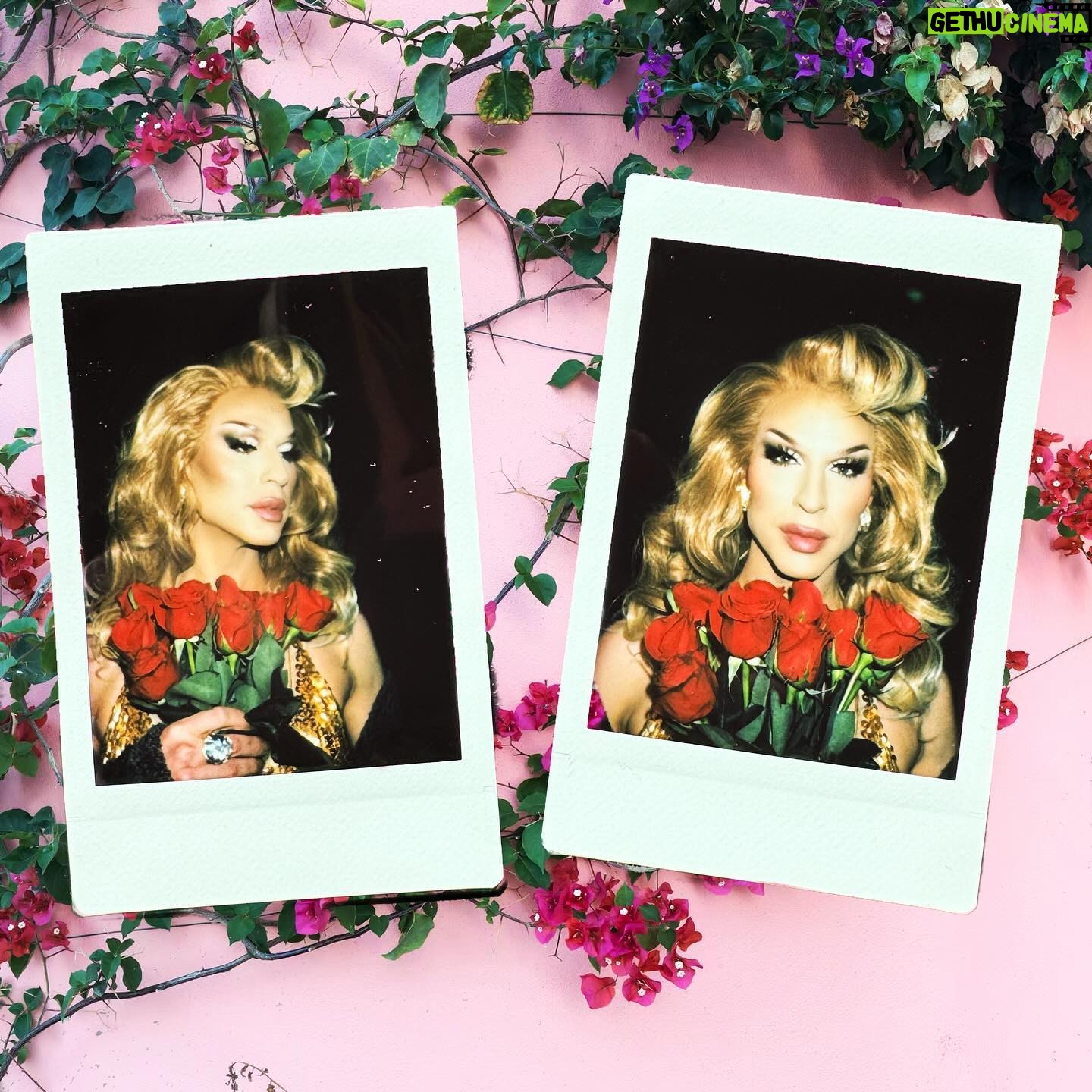 Sasha Colby Instagram - Roses Are Red, Violets Are Blue Drag Queens are Sexy, How About you?! Backstage Rose Ceremony at @mppresent A Drag Queen Christmas! Photos by @jimbothedragclown #roses #diamonddivadolls #sweet #takeawhiff #roseycheeks #beauty #models #chrissymissys #sissychristmas #drag #queens #tour #tourlife