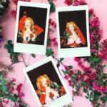 Sasha Colby Instagram - Roses Are Red, Violets Are Blue Drag Queens are Sexy, How About you?! Backstage Rose Ceremony at @mppresent A Drag Queen Christmas! Photos by @jimbothedragclown #roses #diamonddivadolls #sweet #takeawhiff #roseycheeks #beauty #models #chrissymissys #sissychristmas #drag #queens #tour #tourlife