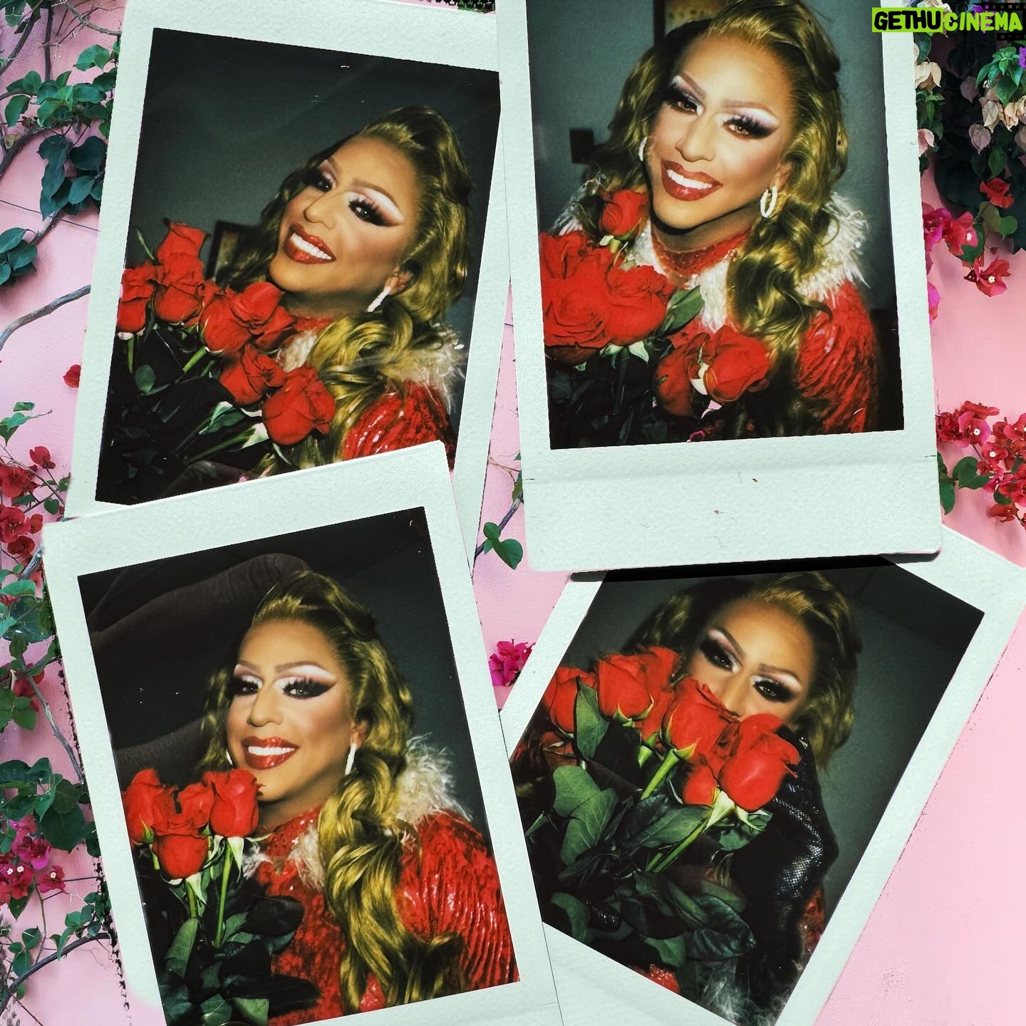 Sasha Colby Instagram - Roses Are Red, Violets Are Blue Drag Queens are Sexy, How About you?! Backstage Rose Ceremony at @mppresent A Drag Queen Christmas! Photos by @jimbothedragclown #roses #diamonddivadolls #sweet #takeawhiff #roseycheeks #beauty #models #chrissymissys #sissychristmas #drag #queens #tour #tourlife