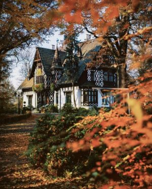 Sasha Luss Instagram - I like this place and could willingly waste my time in it.

William Shakespeare