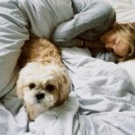 Sasha Luss Instagram – “I think we dream so we don’t have to be apart for so long. If we’re in each other’s dreams, 
we can be together all the time.”

Winnie the Pooh