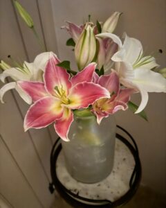 Saumya Tandon Instagram - This is how I heal. Days this week. Thanks for the messages, flowers, calls, prayers and all the love you sent me. Thanks being there in my world.