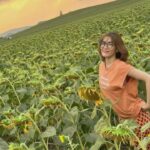 Savika Chaiyadej Instagram - I’m too misty, and too much in love 🌻❤️ #misty #sunflowers #happy