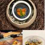 Savika Chaiyadej Instagram – วันนี้ตะลุยร้าน Mizuki Omakase กัน บรรยากาศดีตกแต่งสวยงงามมากค่ะ อาหารอร่อยมากๆ เชฟพูดคุยสนุกสนานหัวเราะกันไม่ได้พักเลย ☺️☺️ 
@mizuki.omakase 
#mizukiomakase #omakase 
#omakaseBKK #japanesecuisine 
#finedining #โอมากาเสะ #bar #moon #star