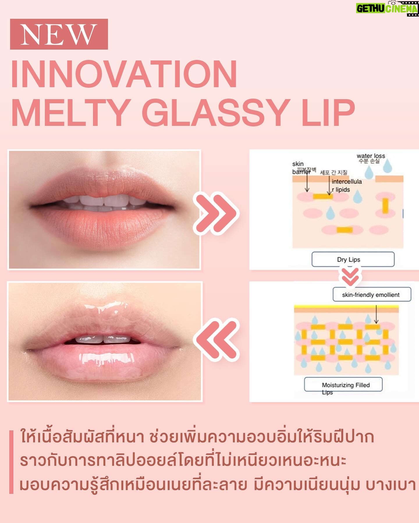 Savika Chaiyadej Instagram - สีช็อคโกแลต 🍫🍫💄ให้กี่คะแนน⁉️ แต่ที่แน่ๆ ทาปุ๊บ กลิ่นช๊อคโกแล๊ตติดจมูกมาก ✅ลิปกลอส3 in 1 •มอยเจอร์ไรเซอร์บำรุงริมฝีปาก •เนื้อกลอสสีแน่น •ออยบำรุงริมฝีปาก 5 ชนิด ✅ สามารถใช้ทาได้ทั้ง ตา แก้ม ริมฝีปาก ✅ เนื้อสัมผัสไม่เหนียวหนึบ ไม่หนักปาก และให้สัมผัสถึงความเย็น ✅ มีสารสกัดจากออยบำรุง ช่วยให้ปากไม่แห้งกร้าน ปากไม่แตก ไม่ตกร่อง ✅ สามารถใช้ได้ทุกวัน ปากไม่ดำคล้ำ ปากไม่ลอก ไม่หนักปาก ✅ ใช้แล้วปากฉ่ำ อวบอิ่ม ปากชัด เต็มขึ้น เนื้อสีละเอียด ชัด ลิปมีความกลอสฉ่ำวาว ดูสดใส ดูปากสุขภาพดี ✅ มีสารสกัดจากมอยเจอไรเซอร์บำรุงริมฝีปากให้เนียนนุ่ม ชื่มชื้น ยิ่งใช้ยิ่งบำรุง ลดการปากแห้ง #winkycosmetics #winkymeltyglassylip #milkchocolate #pinysavika #พิ้งกี้สาวิกา ช่องทางการสั่งซื่อ Line @winkybeauty