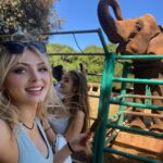 Saxon Sharbino Instagram - at a zoo on an island in Croatia, hbu? also my bf met all my travel friends 💕