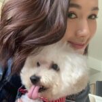 Selena Lee Instagram - I’m so lucky to have Snowy and Naughty bless my life with so much love, joy, and happiness. Never easy to say Goodbye, see you in the next life, my lovely angels. Miss you both. Thank you for being in my life. 下一世，一定要做我親人。❤️ 感恩在我生命中遇上你們。 #RIP #Angels