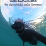 Selena Lee Instagram - #海底星空 你見過嗎？ Underneath the ocean is where you will find the painting of Van Gogh’s Starry night come alive…when you look up. 🤙🏼 Footages by @wrennokada and Selena Lee #vangogh #starrynight #freediving #freedivingphotography #chinesemermaid #selenalee #李施嬅 #消失的她 #梵高星空