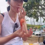 Selena Lee Instagram – #CheatMeal Day 
好肥fatssssss… 不過間中都要放肆一下，獎勵一下自己。🐷

I totally needed this Cheat Meal! So very delicious!! 

#selenalee #cheatmeals #hawaiiangarlicshrimprice #foodtruck #李施嬅 #放肆的一餐 #夏威夷 #推介美食