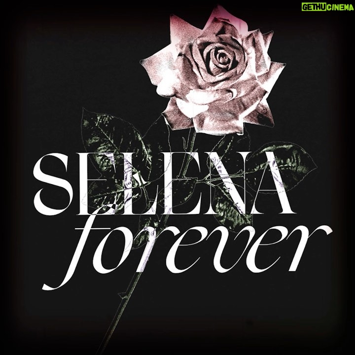 Selena Quintanilla Instagram - ππFall in Love with this New EXCLUSIVE Merch available now only at q-productions.com ππ