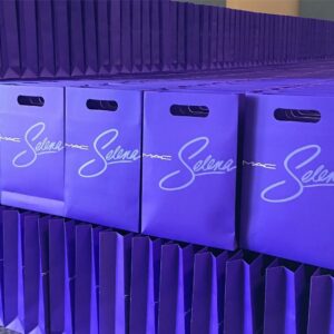 Selena Quintanilla Instagram - Happy 5th Anniversary to #MACSelena! This global launch broke a record for the largest Limited Edition collection sold for MAC Cosmetics. 💜