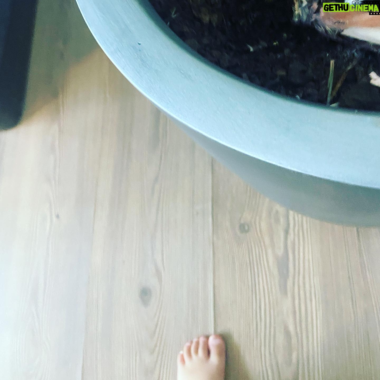 Selin Şekerci Instagram - Biri telefonumu yürütmüş🥹 ve sanatını konuşturmuş. SÜRPRİZ SONLU! Kaydırınız..