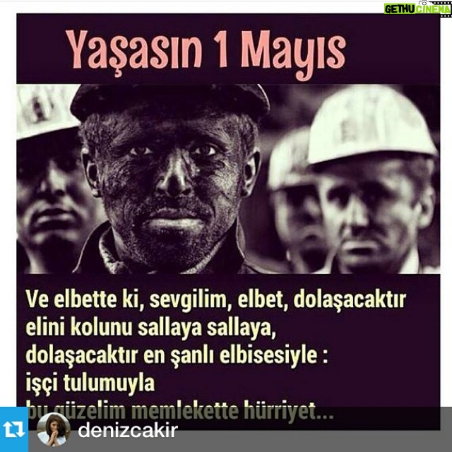 Selma Ergeç Instagram - #Repost from @denizcakir with @repostapp --- .. Belki biz de bi gün bayramları "bayram gibi" kutlarız... Sazlı sözlü, elele... 🌿✌🏼️ #1mayıs