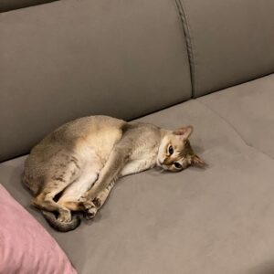 Seo Kang-joon Instagram - 후..힘든 하루였다.. 라고 하는건가