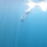 Seo Kang-joon Instagram - 🐟언덜더 씨🐠