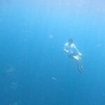 Seo Kang-joon Instagram - 🐟언덜더 씨🐠