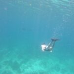 Seo Kang-joon Instagram - 🐟언덜더 씨🐠