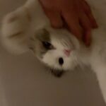 Seo Kang-joon Instagram -