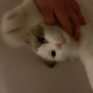 Seo Kang-joon Instagram - 