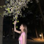 Seohyun Instagram – Cherry blossom night🌸