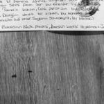 Sera Kutlubey Instagram - Bugün ansızın 16 yaşındaki Sera’dan mektup aldım…💌 ‘Sana gençlik yıllarını hatırlatacak, 25. Yaş günü hediyeni veriyorum’ diyor küçük Sera… Belli ki matematiği kötü ve 25 yaşı yeterince genç görmüyor… O sıra çılgınlar gibi Lara Fabian’den Je T’aime dinliyor… Hayallerimi, Hectorumun dökülen dişlerini biriktirdiğimi, annemden bir kedi sözü aldığımı, o kedinin şu an yanımızda olup olmadığını merak ettiğimi, babamın Bodrum’a taşınmayı düşündüğünü ve şu an bunu okuyorken acaba orada olup olmadığını soruyorum mektupta. Evet 10 yıl geçmiş üstünden… Kontrole başlıyorum;Canım oğlum Hector’u bu yıl kaybettik, ama dişlerini hala saklıyorum.Annem her zamanki gibi verdiği sözü tuttu, Julietimiz bizimle…Evet babam Bodrumda ve hayal ettiği hayatı yaşıyor… Bende Bodrum valizimi hazırlarken; yıllardır nerede olduğunu bile bilmediğim, sandığımın anahtarını buluyorum… o sandığı açıyorum ve başlıyor bu geceki maceram. Kendimi ‘sevginin kalesi’ gibi hissediyorum bu gece.🏰💕 16 yaşındaki küçük bir kızın mektuba kondurduğu öpücüklerden beni öpmesine izin veriyorum ve 26 yaşında genç bir kadın olarak o küçük kızı kucaklıyorum… Mektupta da dediğim gibi; kıymet bilen bir kızsın, bu huyundan asla vazgeçme… 10 yıl sonra başka bir mektupta görüşmek üzere...🔏💌