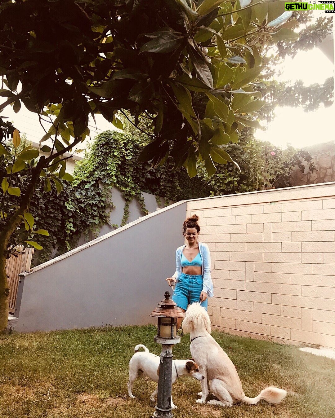 Seray Kaya Instagram - Dans edin çocuklar. 🌞🐝