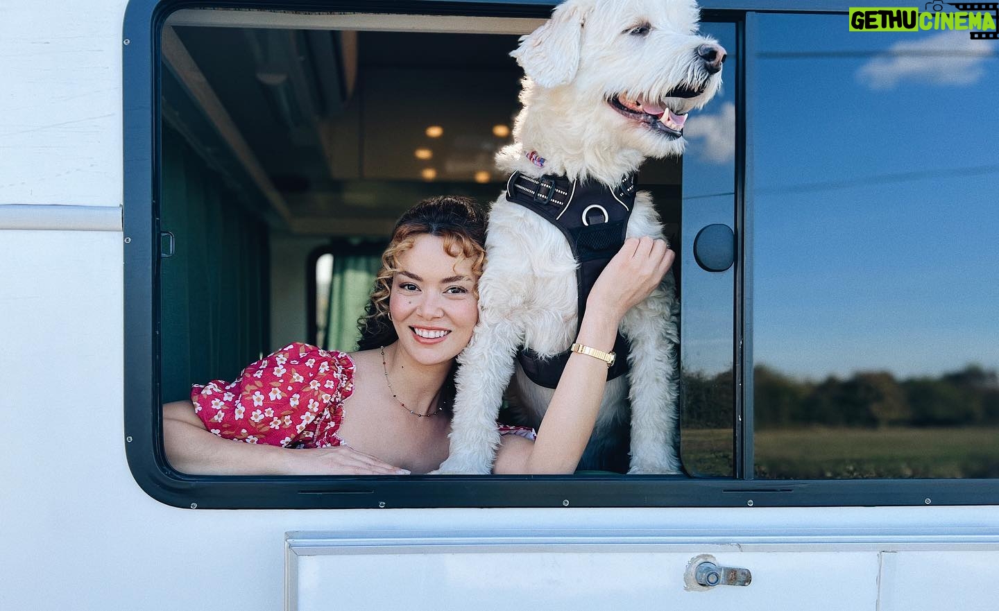 Seray Kaya - 49K Likes - ben sete gelirken birileri peşime takıldı🤭🥰 🧡
#pablo