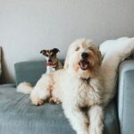 Seray Kaya Instagram – kalp
