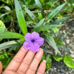 Serayah Instagram – Vaca   dump 🌺

💭Try asking yourself what does it look like to follow my heart?