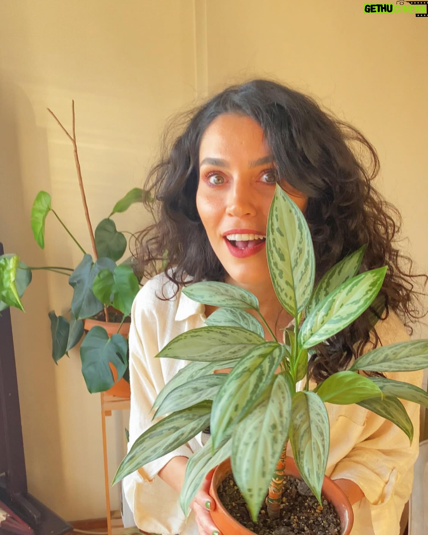 Serenay Aktaş Instagram - hola¡ iyakşanlar.