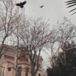Serenay Aktaş Instagram - Selam buralar.
