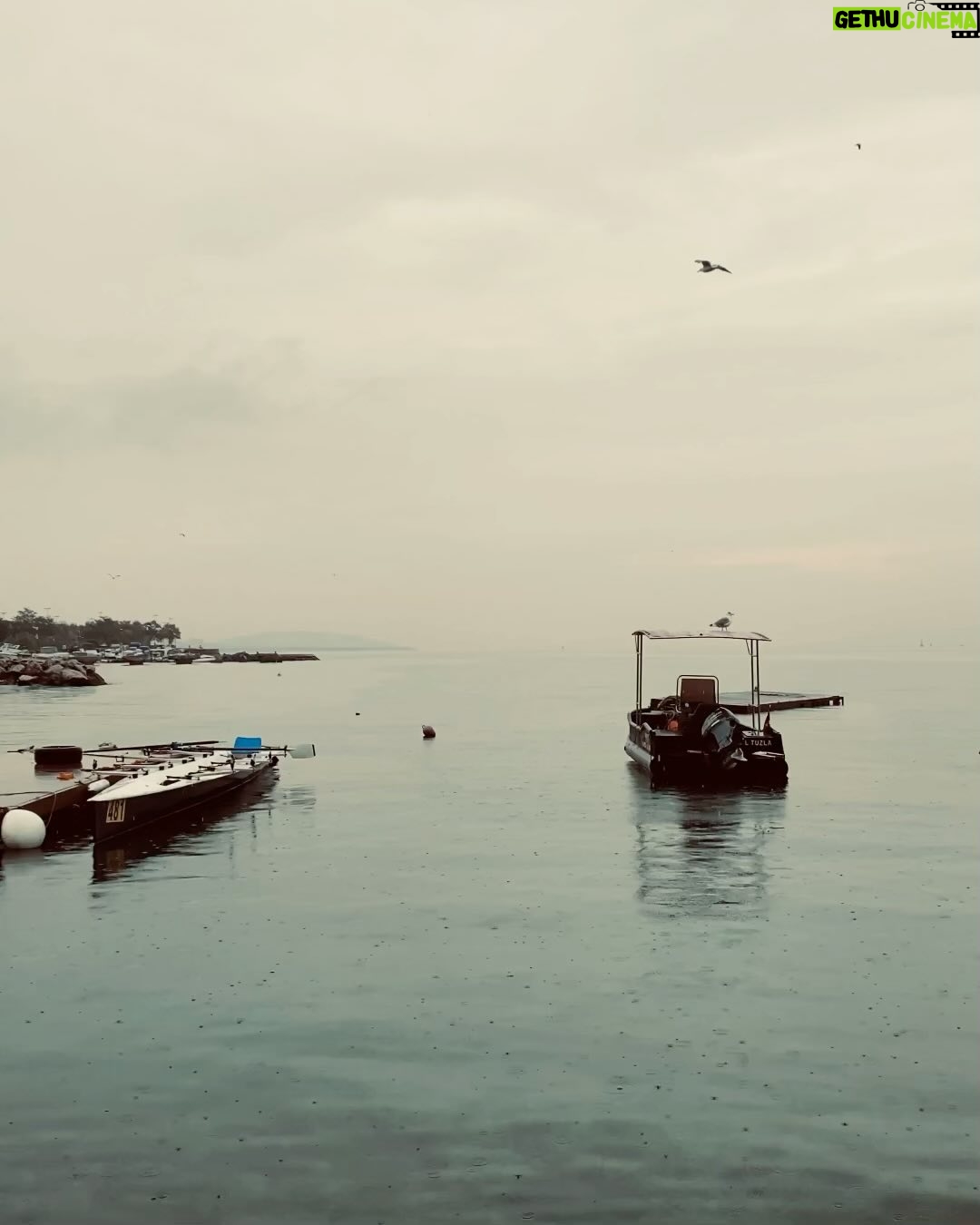 Serenay Aktaş Instagram - galeriden bi' şeyler:)