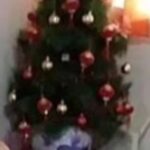 Seth Fedelin Instagram - Isa sa kaligayahan ng Pamilya ko🥺