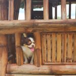 Seth Fedelin Instagram - Tara sa bukid?