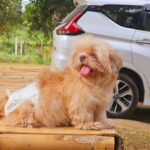 Seth Fedelin Instagram - Tara sa bukid?