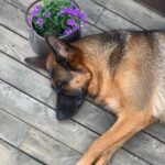 Sevda Erginci Instagram – güzel bi kız 🌸