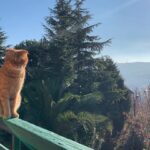 Sevda Erginci Instagram -