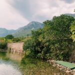 Sevda Erginci Instagram – 🌿