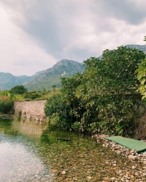 Sevda Erginci Instagram - 🌿
