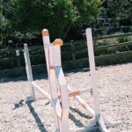 Sevda Erginci Instagram - Therapy 🏇🏿🤎