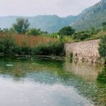 Sevda Erginci Instagram – 🌿