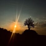 Sevda Erginci Instagram – bu dünya benim memleket