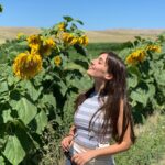 Sevda Erginci Instagram – 🌻