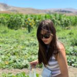 Sevda Erginci Instagram – 🌻