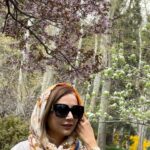 Shabnam Gholikhani Instagram – چه رنگهایی میبینم! من به بهار فکر میکنم
که با دستانی پر از شکوفه می آید
شکوفه های صورتی زیبا
شکوفه هایی ساده و بی فریب🌸
#بهار 
#شبنم_قلی_خانی #حال_خوب 
#shabnamgholikhani #film #cinema